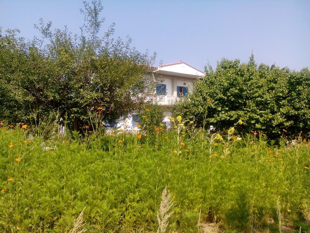 Guesthouse Karidia Скала-Ересу Екстер'єр фото